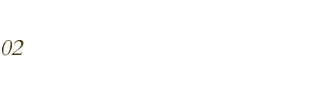 02 Investment Strategy